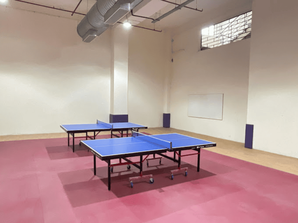 Sportyzo Table Tennis Courts