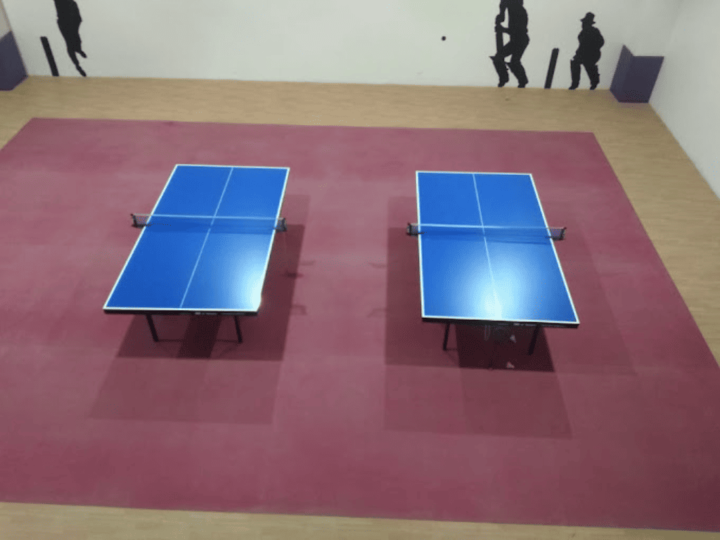 Table Tennis Courts in Gurgaon