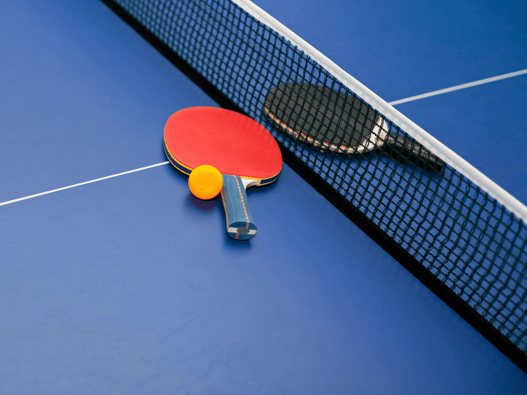 Sportyzo Table Tennis