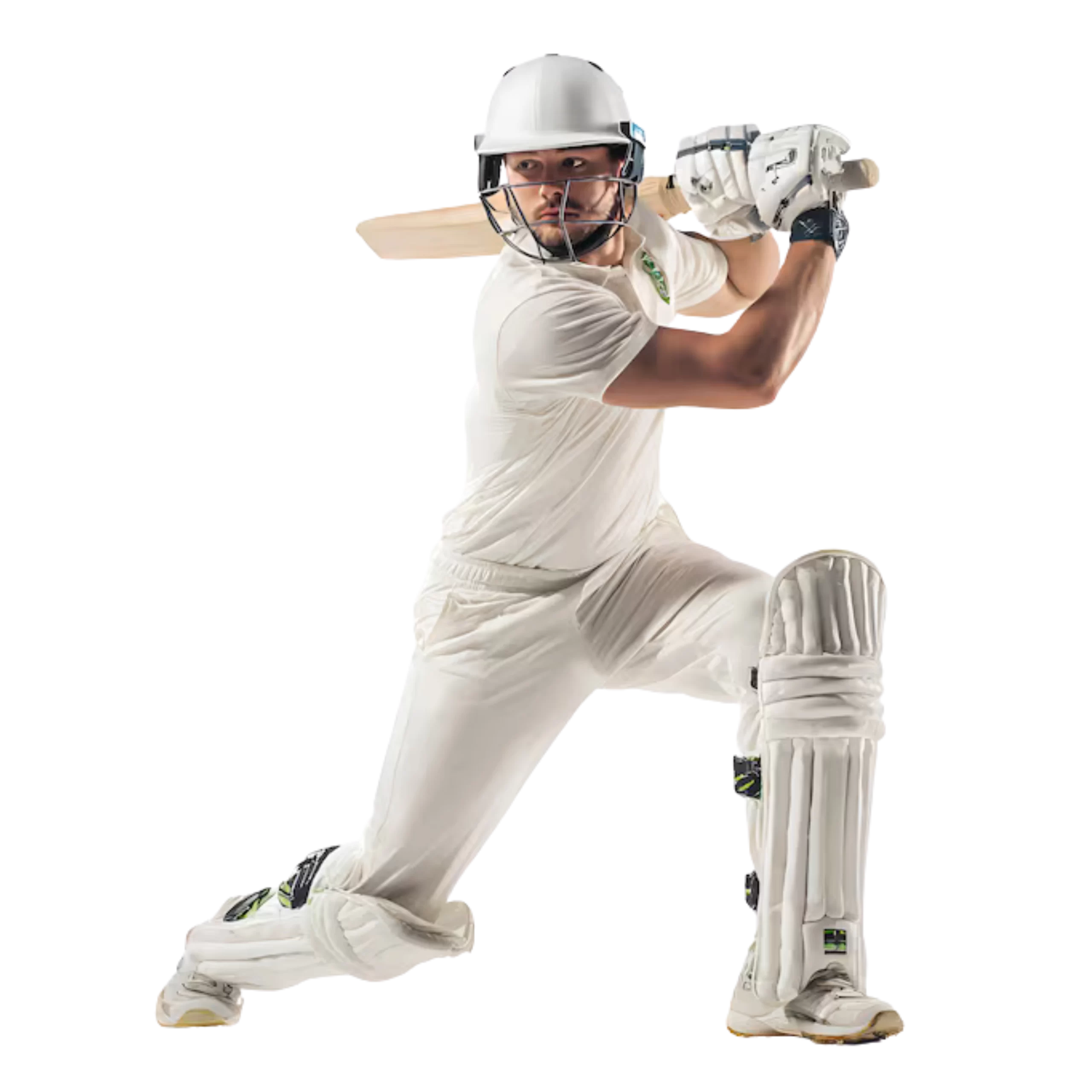 Corporate Cricket Showdown (2)