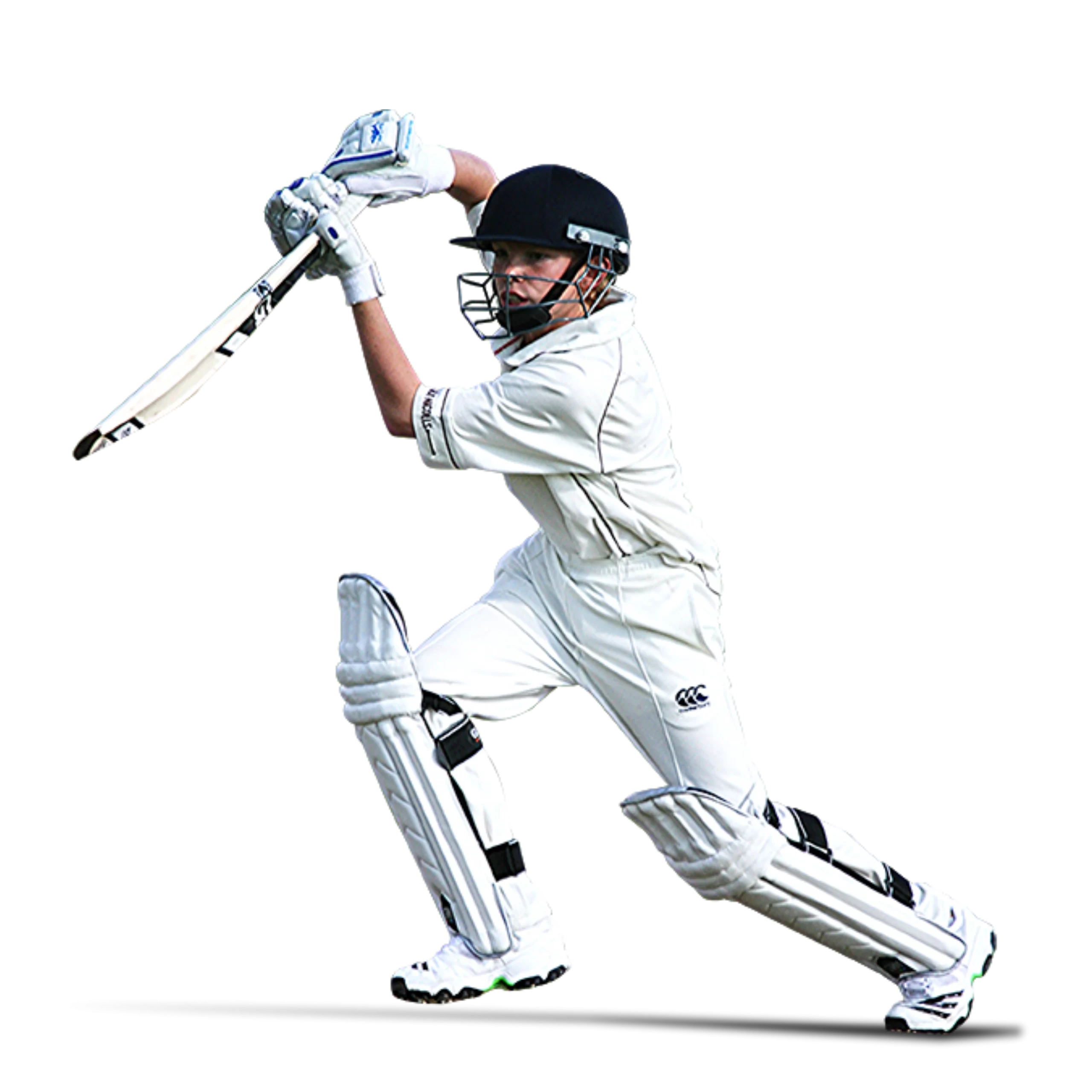 Corporate Cricket Showdown