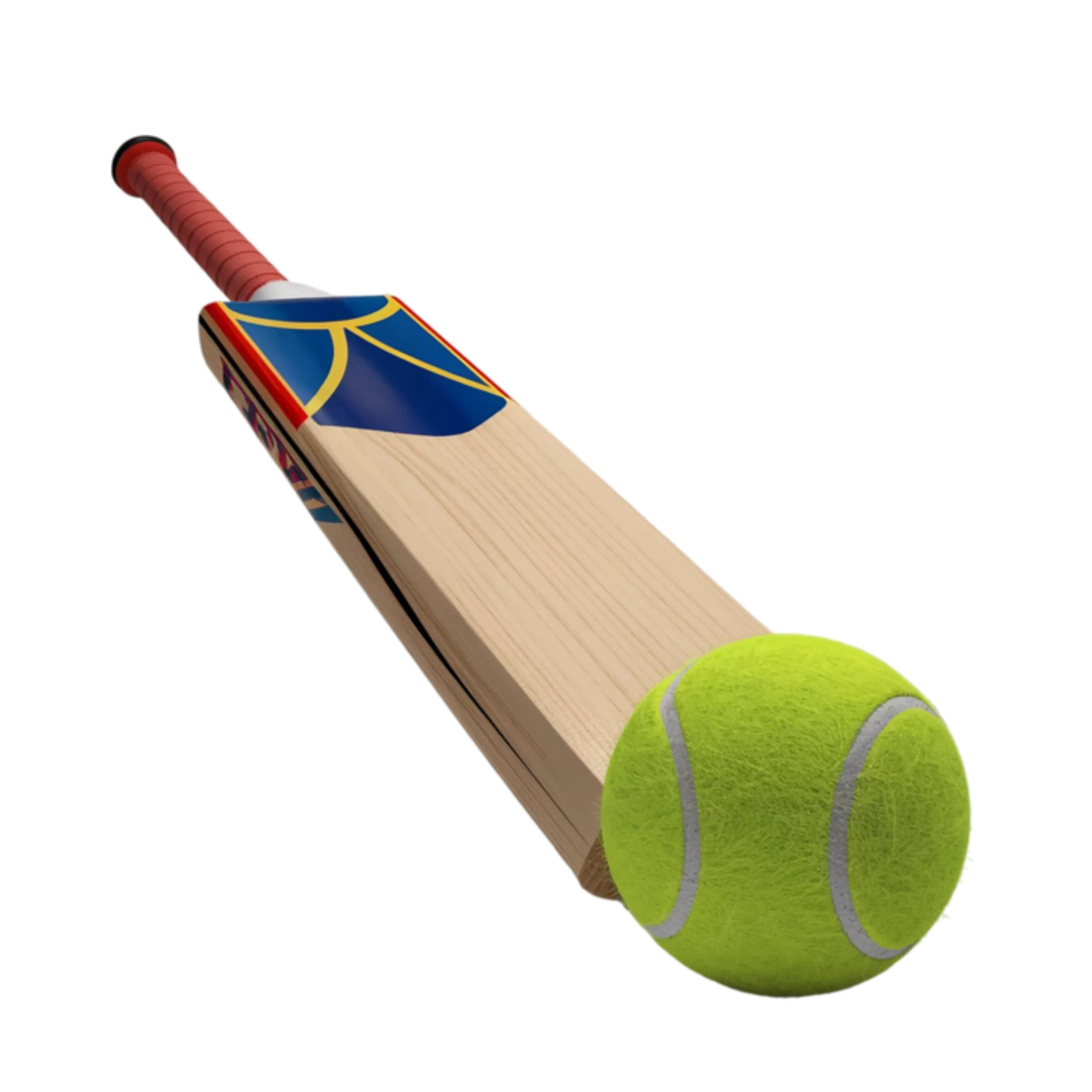 Corporate Tennis Ball Cricket (1)