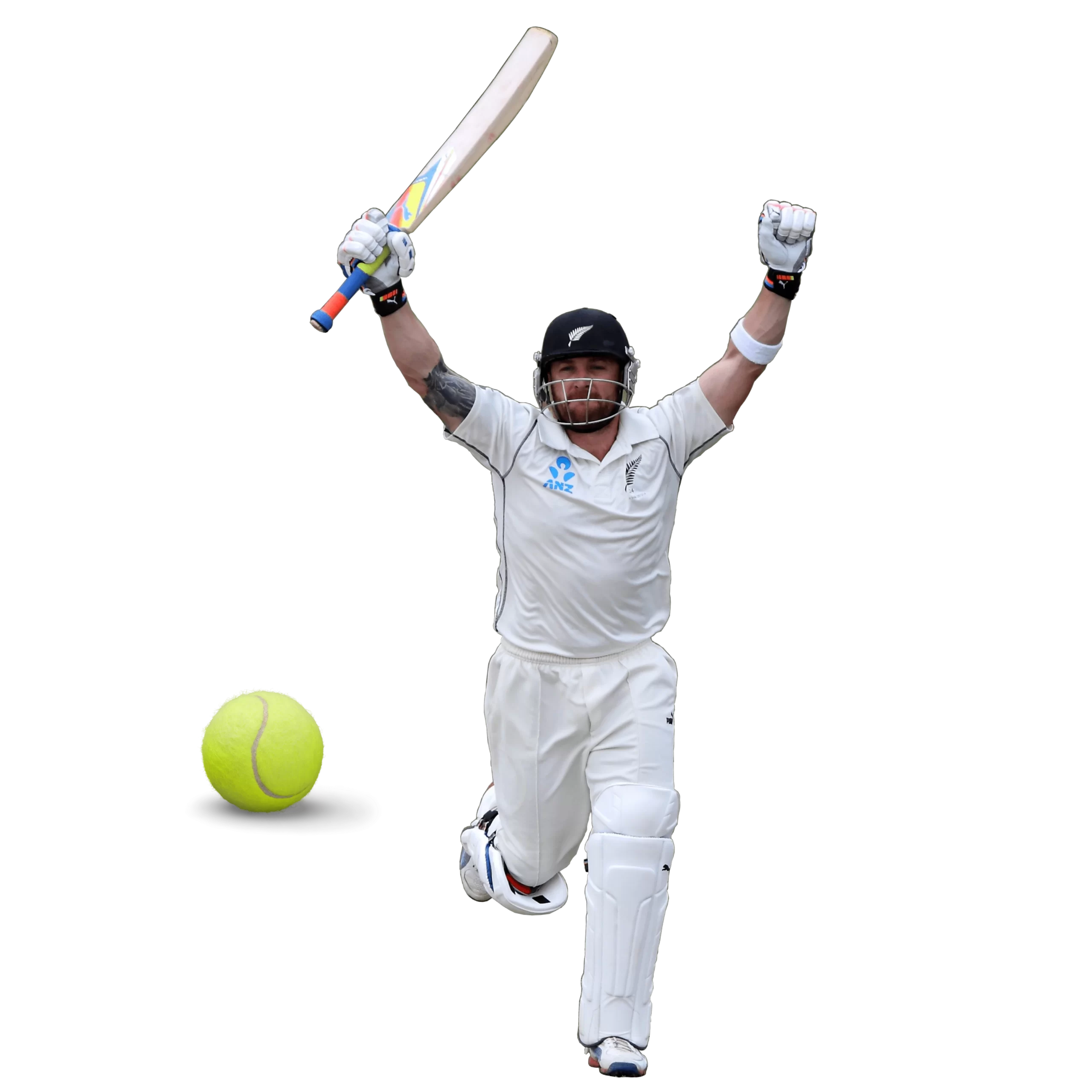 Corporate Tennis Ball Cricket