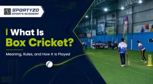 What Is Box Cricket Meaning, Rules, and How It Is Played